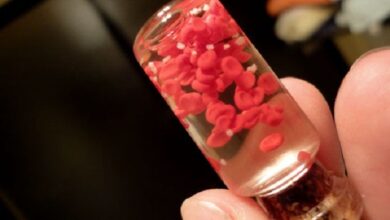 هر اهدای خون جان چند بیمار را نجات می دهد - خبرگزاری مهر ایران و جهان