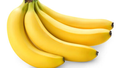 ۷ مورد از بهترین فواید موز - خبرگزاری مهر ایران و جهان