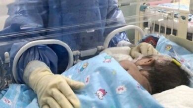 آب حاوی فلوراید تاثیری بر وزن هنگام تولد ندارد - خبرگزاری مهر ایران و جهان