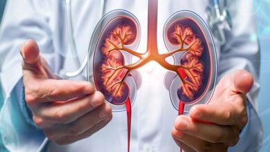 کلید پیشگیری از بیماری مزمن کلیوی - خبرگزاری مهر ایران و جهان