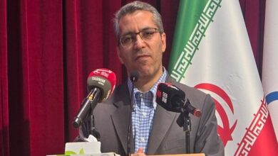 هشدار چاقی برای دو سوم بزرگسالان ایرانی - خبرگزاری مهر ایران و جهان