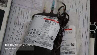 فعالیت 11 مرکز اهدای خون استان تهران - خبرگزاری مهر ایران و جهان