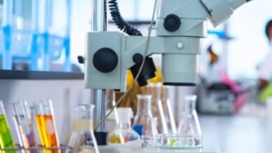 تاکید مدیرکل آزمایشگاه سازمان غذا و دارو بر نوسازی تجهیزات آزمایشگاهی - خبرگزاری مهر ایران و جهان