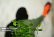 ترکیب کشنده مواد شوینده در خانه تکانی - خبرگزاری مهر | اخبار ایران و جهان