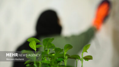 ترکیب کشنده مواد شوینده در خانه تکانی - خبرگزاری مهر | اخبار ایران و جهان