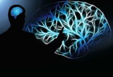 سلامت مردان در محل کار؛ محور برنامه های نظارتی وزارت بهداشت - خبرگزاری مهر ایران و جهان