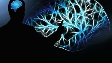 سلامت مردان در محل کار؛ محور برنامه های نظارتی وزارت بهداشت - خبرگزاری مهر ایران و جهان