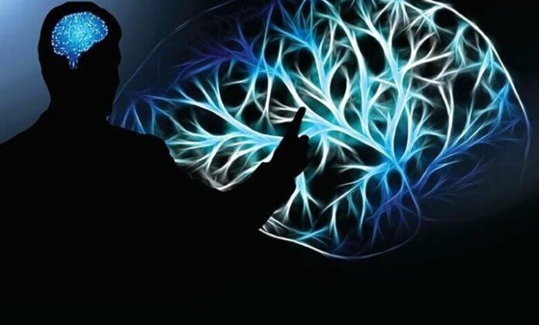 سلامت مردان در محل کار؛ محور برنامه های نظارتی وزارت بهداشت - خبرگزاری مهر ایران و جهان