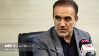 هشدار نظام پزشکی به پزشکان درباره سقط جنین غیرقانونی - خبرگزاری مهر ایران و جهان