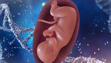 تاثیر مخرب آفت کش ها بر سلامت جنین