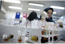 دانشگاه علوم پزشکی تهران; رتبه اول دانشگاه های علوم پزشکی کشور