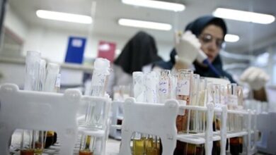 دانشگاه علوم پزشکی تهران; رتبه اول دانشگاه های علوم پزشکی کشور