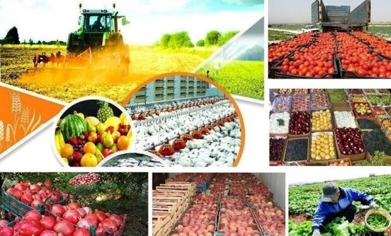 بودجه ۸ همتی برای امنیت غذایی کودکان / پایش ملی تغذیه و امنیت غذایی؛ امسال