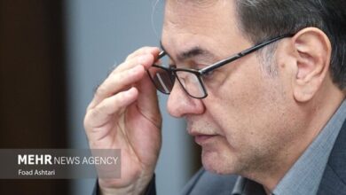 سیستم ارجاع به معنای همراهی بیمار تا پایان دوره درمان است - خبرگزاری مهر ایران و جهان