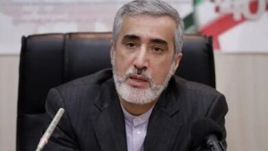 پیرصالحی: تولید دارو و تجهیزات بدون صادرات منجر به رکود می شود - خبرگزاری مهر ایران و جهان