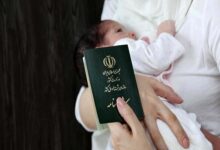 تولد بیش از 19 هزار نوزاد در البرز - خبرگزاری مهر ایران و جهان