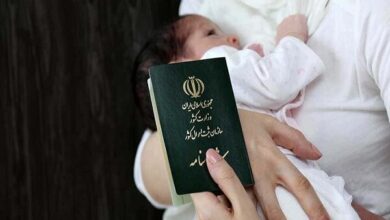 تولد بیش از 19 هزار نوزاد در البرز - خبرگزاری مهر ایران و جهان