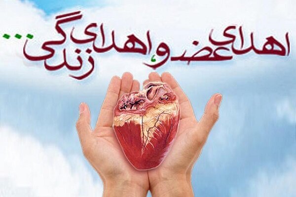 نجات 100 بیمار با اهدای عضو از 52 خانواده البرزی - خبرگزاری مهر | اخبار ایران و جهان