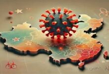 هانتا ویروس به ایران نرسیده - خبرگزاری مهر ایران و جهان