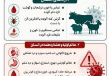 خطر پنهان تماس با دام؛ مراقب این بیماری مهلک باشید!