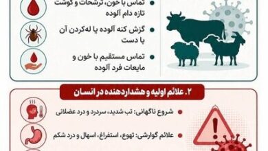 خطر پنهان تماس با دام؛ مراقب این بیماری مهلک باشید!