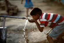 تشریح وضعیت بیماری های منتقله از طریق آب و غذا - خبرگزاری مهر ایران و جهان