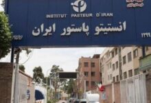 پیامدهای حمله به انستیتو پاستور ایران تهدید سلامت عمومی - خبرگزاری مهر اخبار ایران و جهان