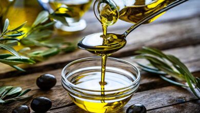 روغن زیتون فرابکر برای مغز مفیدتر است - خبرگزاری مهر ایران و جهان