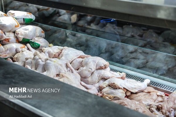 ماجرای استفاده از جگر مرغ برای سالمندان - خبرگزاری مهر ایران و جهان