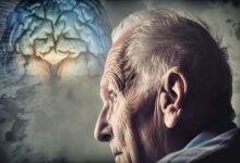 مصرف نمک می تواند مشکلات حافظه را تشدید کند - خبرگزاری مهر ایران و جهان