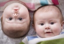علائم بارداری چند قلو چیست؟ / نیازهای تغذیه ای مادران باردار چندقلو