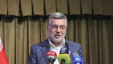 ظفرکندی: کلیه خدمات درمان سرطان در موسسه سرطان ایران ارائه می شود