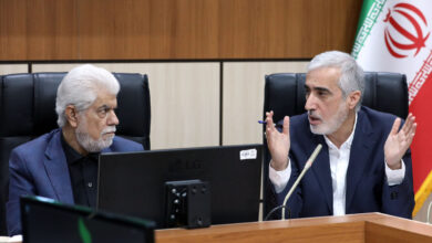 تقدیم گزارش دارو به نمایندگان مجلس - خبرگزاری مهر ایران و جهان