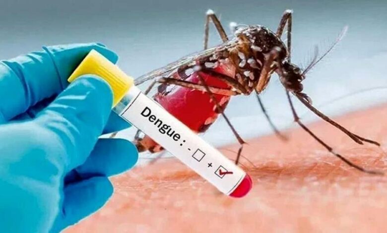 آژیر قرمز تب دنگی؛ چابهار در قرق پشه‌های آلوده