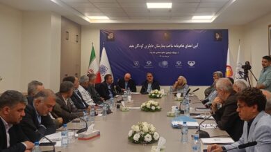 ساخت 650 تخت در بیمارستان جدید کودکان مفید
