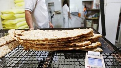 متخصص تغذیه: نان سبوس دار را جایگزین نان سفید کنید - خبرگزاری مهر ایران و جهان