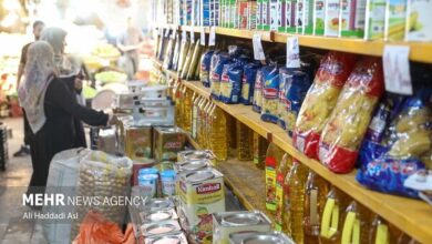 صدور الکترونیکی مجوز مواد غذایی - خبرگزاری مهر ایران و جهان
