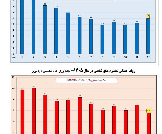 وضعیت آنفلوانزا در هفته دوازدهم/ مشاهده عفونت های تنفسی در زائران در 6 فرودگاه کشور