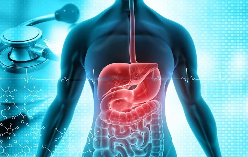رازهای نهفته در سلامت دستگاه گوارش؛ از میکروبیوم تا تأثیر بر خلق و خو