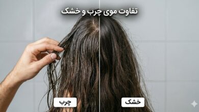 تفاوت بین موهای خشک، معمولی و چرب