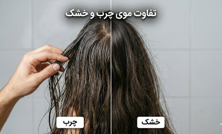 تفاوت بین موهای خشک، معمولی و چرب